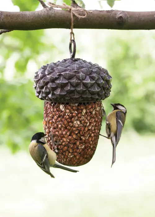 A photo of Acorn Shaped Bird Feeder