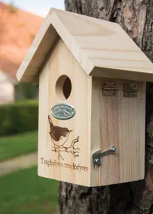 Wren Silhouette Wooden Bird House