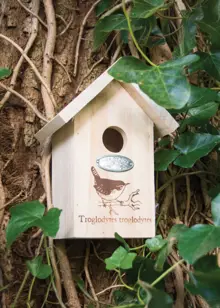 Wren Silhouette Wooden Bird House