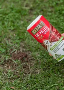 Deadfast Ant Killer Plus Powder Natural 150g