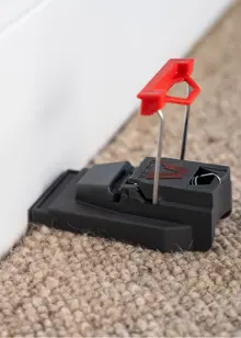 Pack of 2 Deadfast Quick Kill Mouse Traps