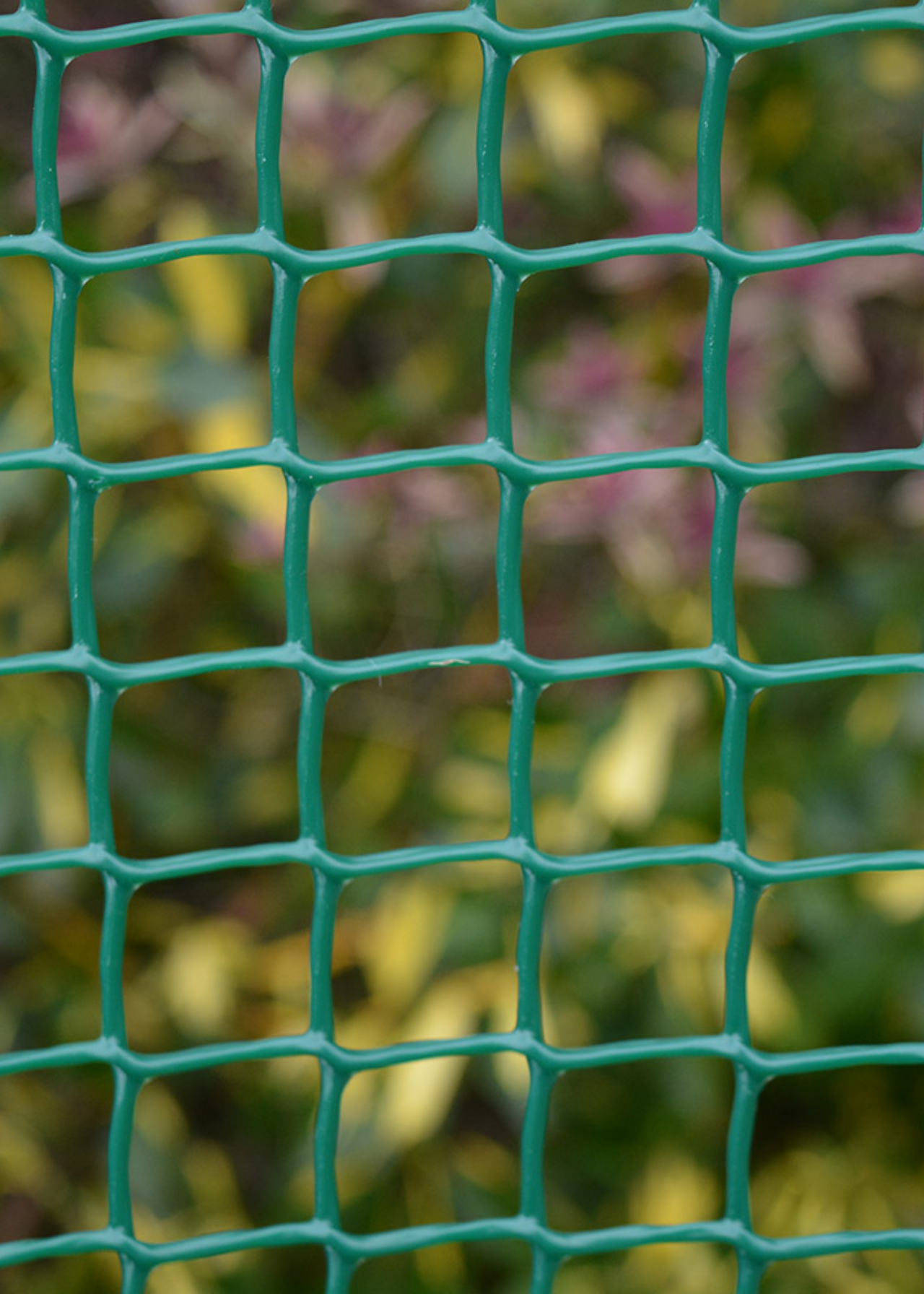 19mm Green Plastic Garden Mesh 0.5m x 6m - Pre-Pack