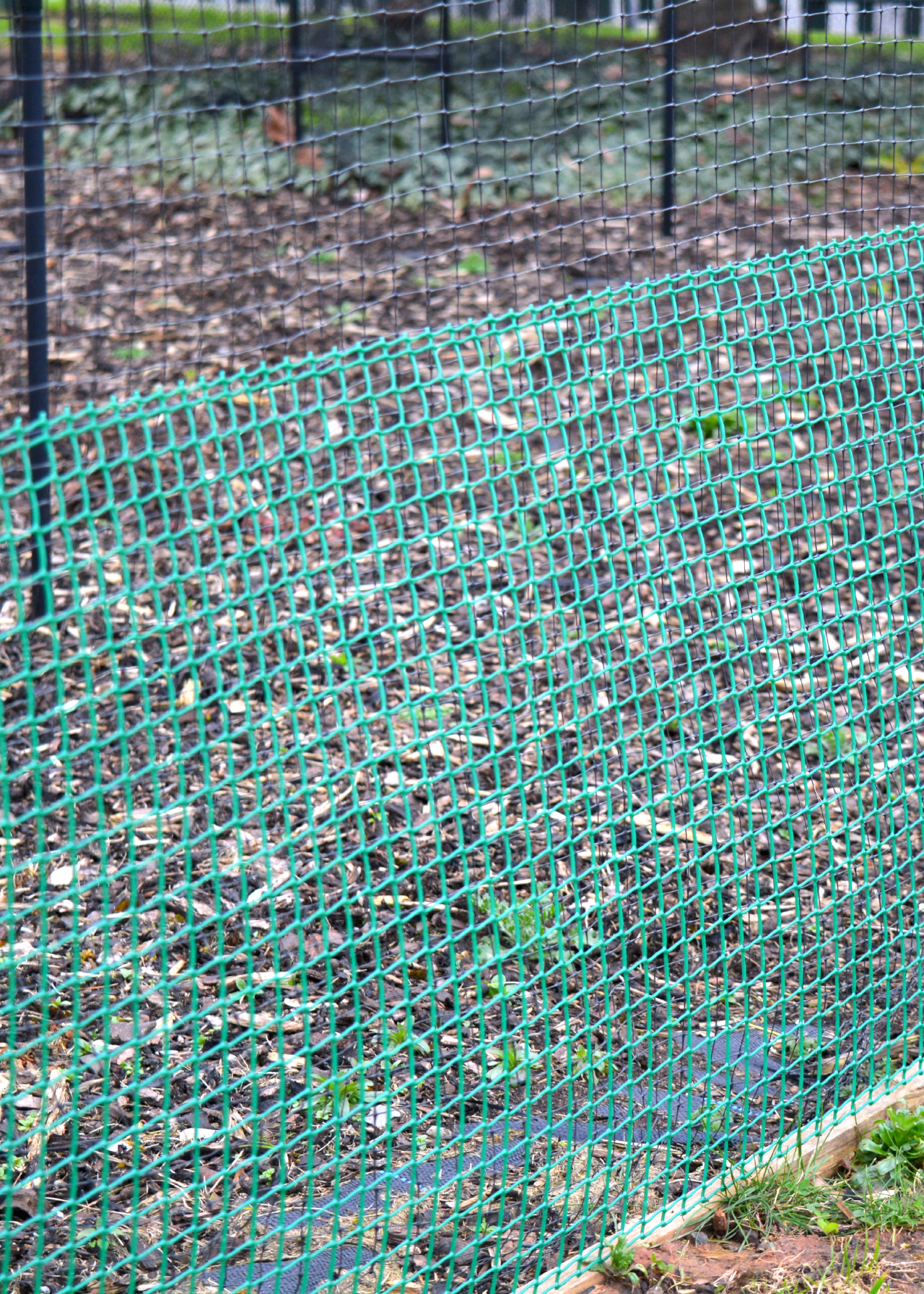 19mm Green Plastic Garden Mesh 0.5m x 6m - Pre-Pack