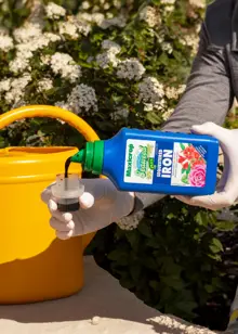 Maxicrop Sequestered Iron 1L