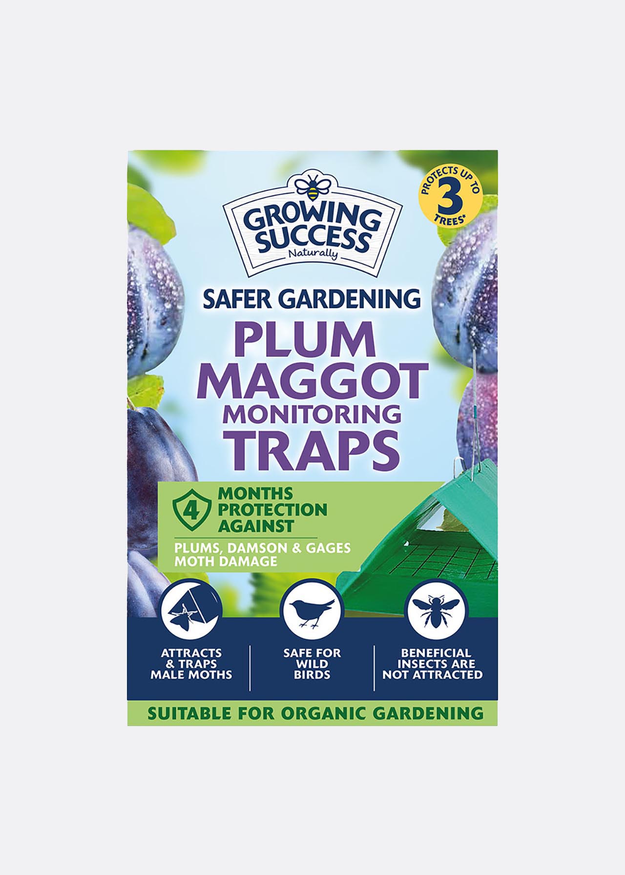 Growing Success Plum Maggot Monitoring Trap