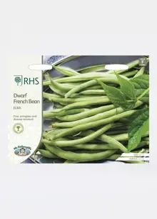 Dwarf French Bean Elba Seeds