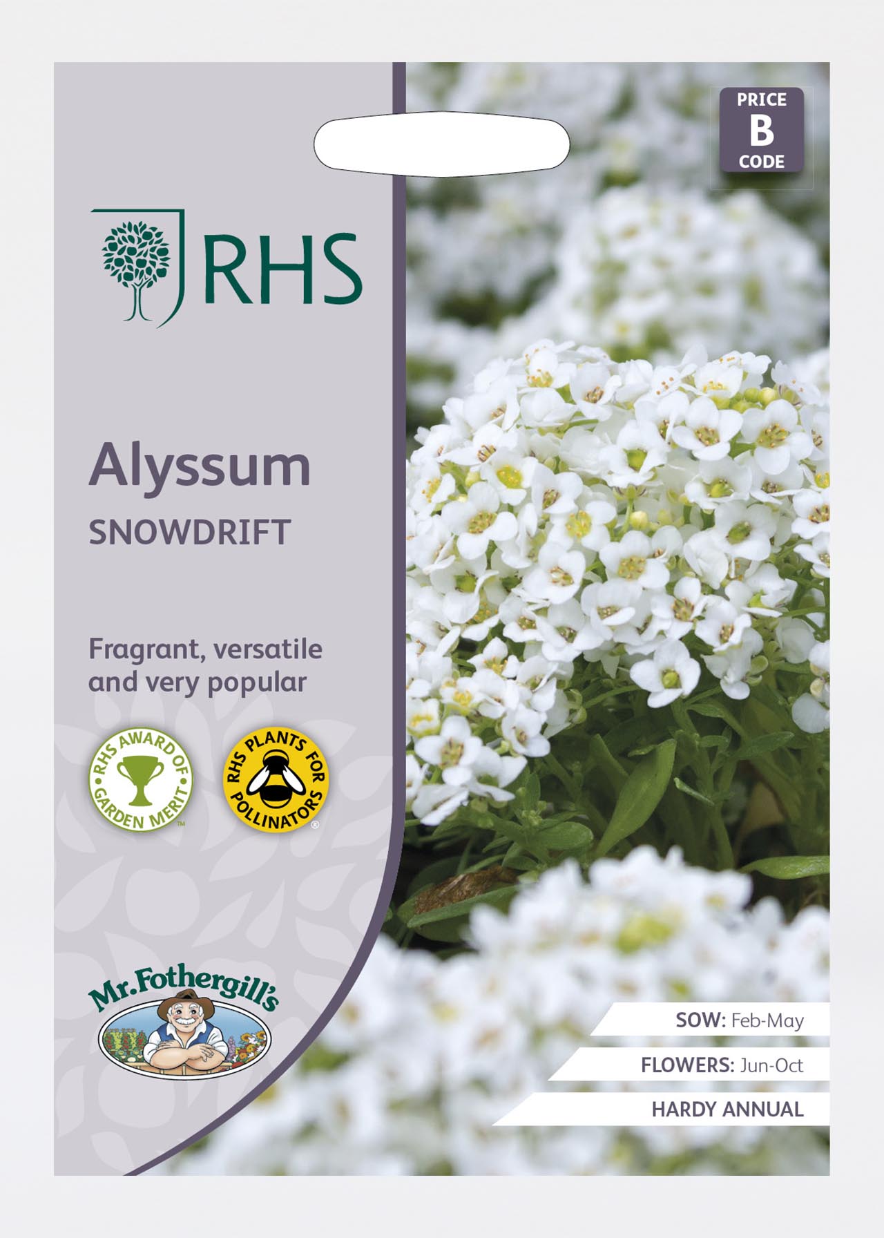 Alyssum Snowdrift Seeds