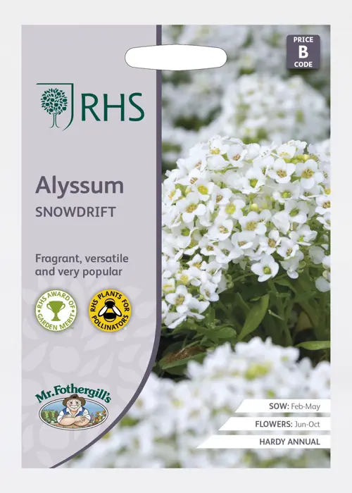 A photo of Alyssum Snowdrift Seeds