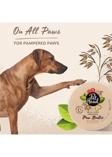 Pet Head On All Paws Paw Butter