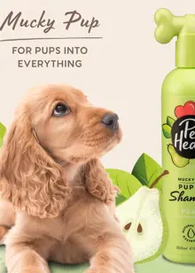 Pet Head Mucky Puppy Shampoo