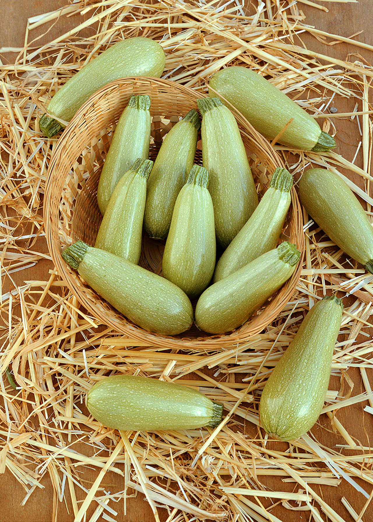 Courgette Patio Star Strip
