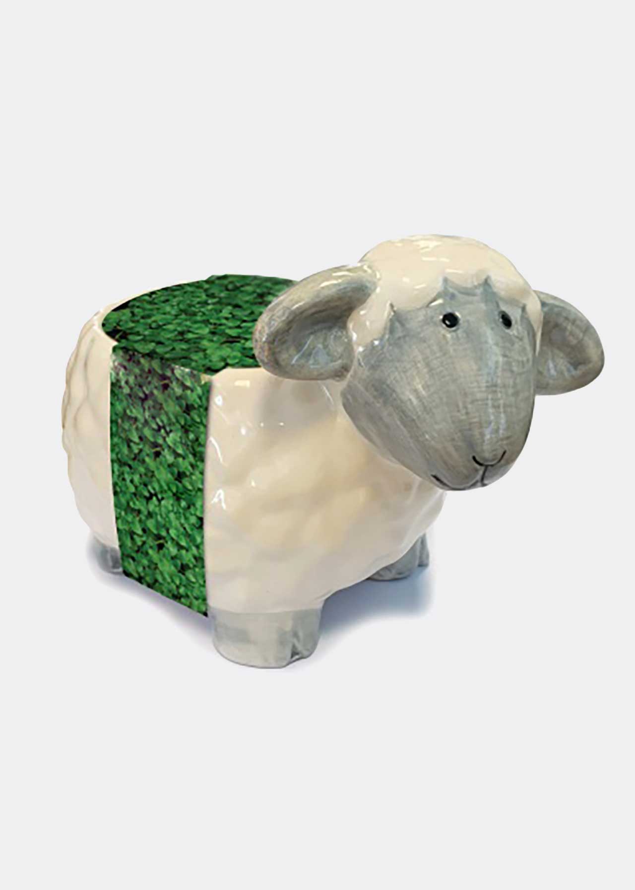 Banquet Empower Third dobbies planters Expert Decrease scared