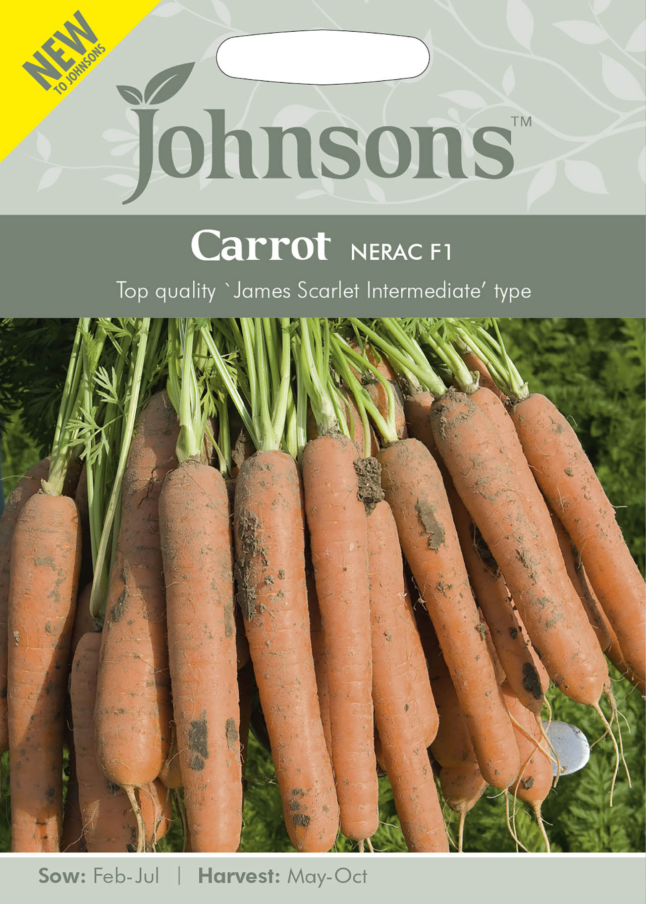 Carrot Nerac F1 Seeds