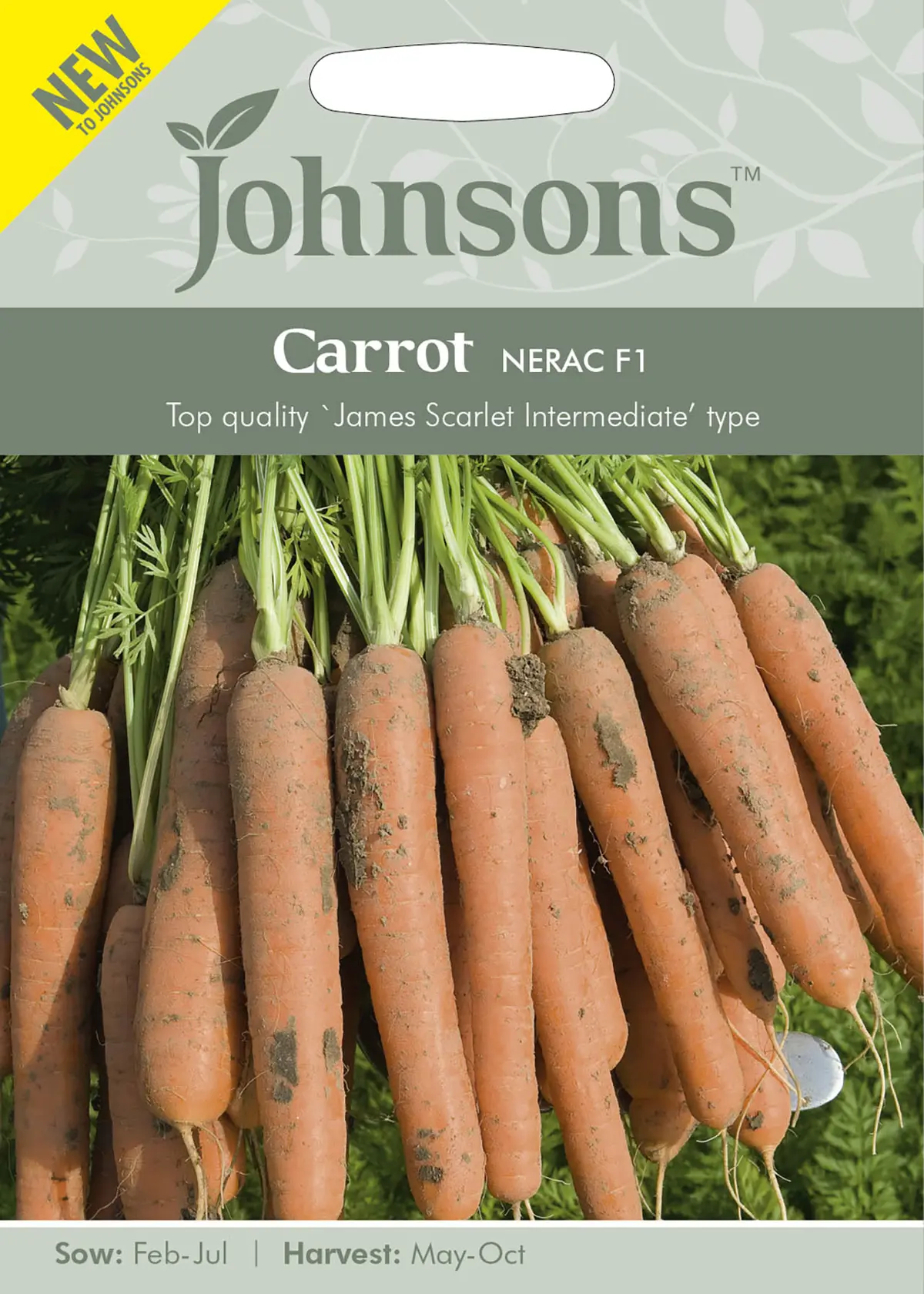 A photo of Carrot Nerac F1 Seeds