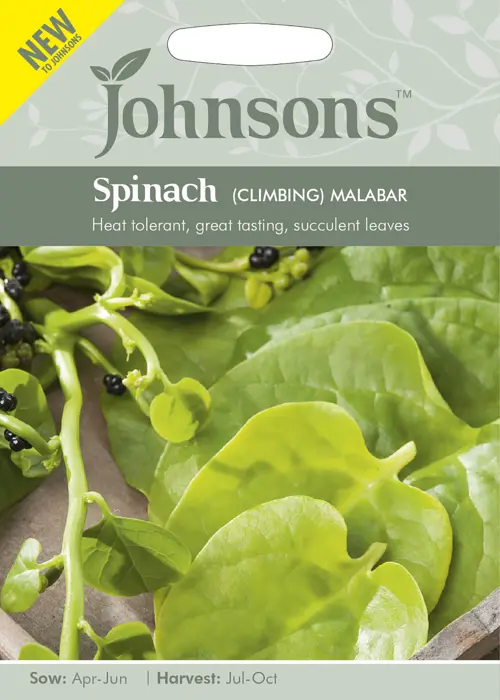 A photo of Spinach (Climbing) Malabar Seeds