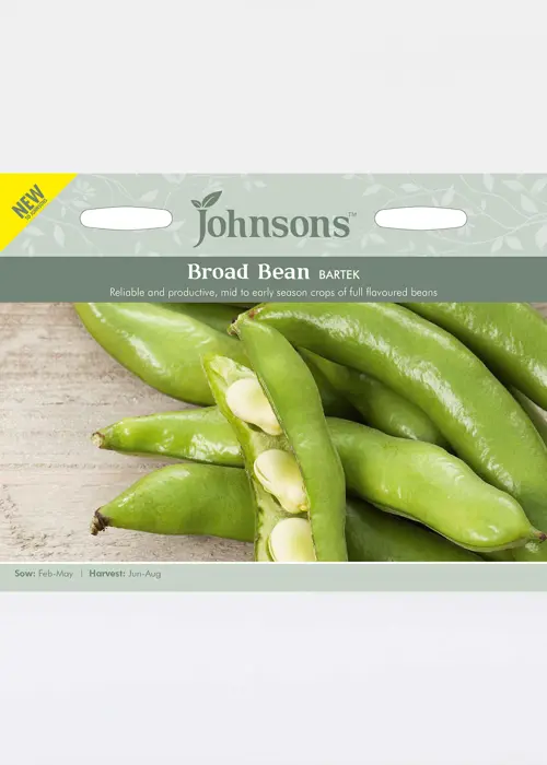 A photo of Broad Bean Bartek Seeds