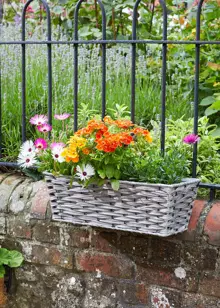 Soft Grey Bari Faux Rattan 19" Planter