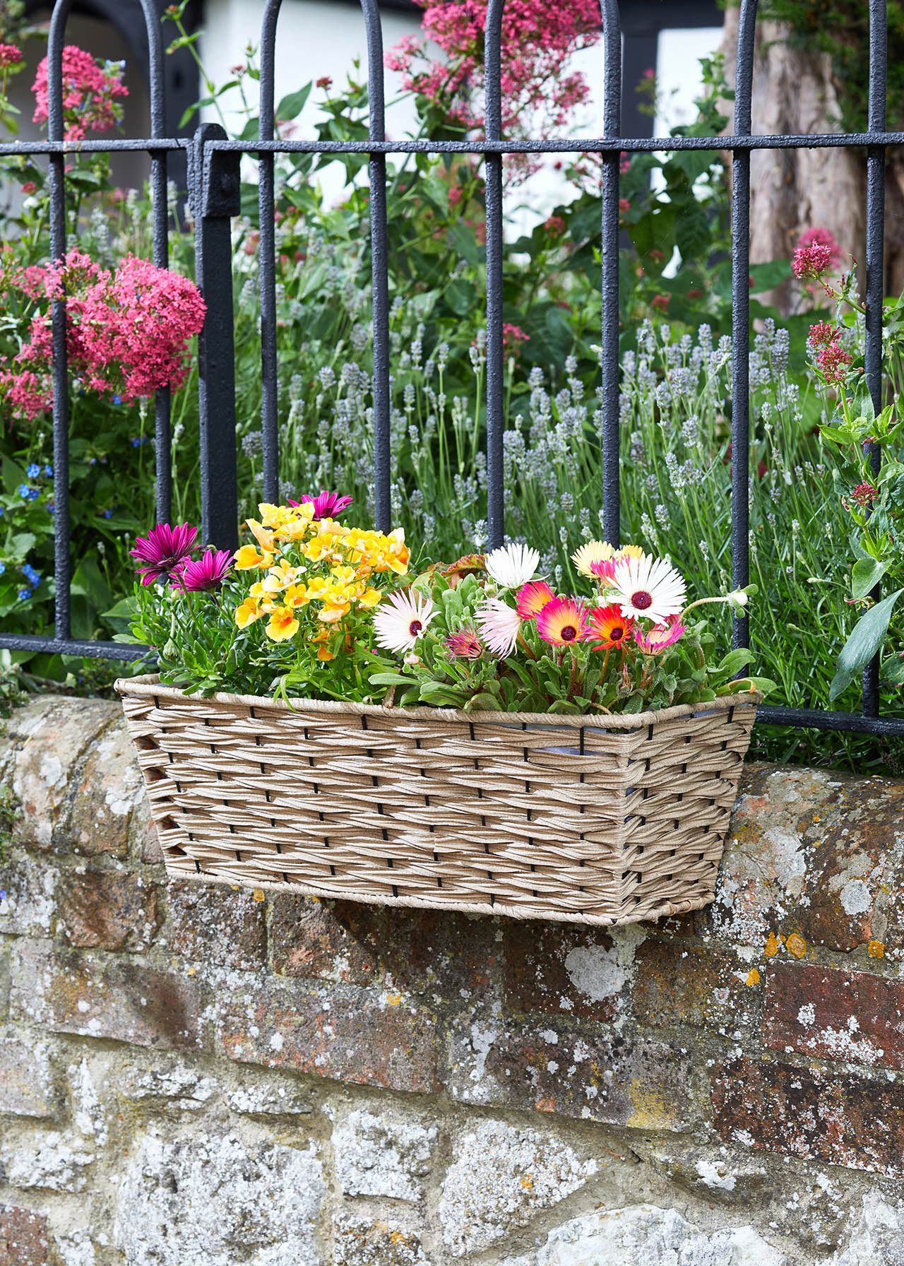 Sand Bari Faux Rattan 19" Planter Dobbies Garden Centres