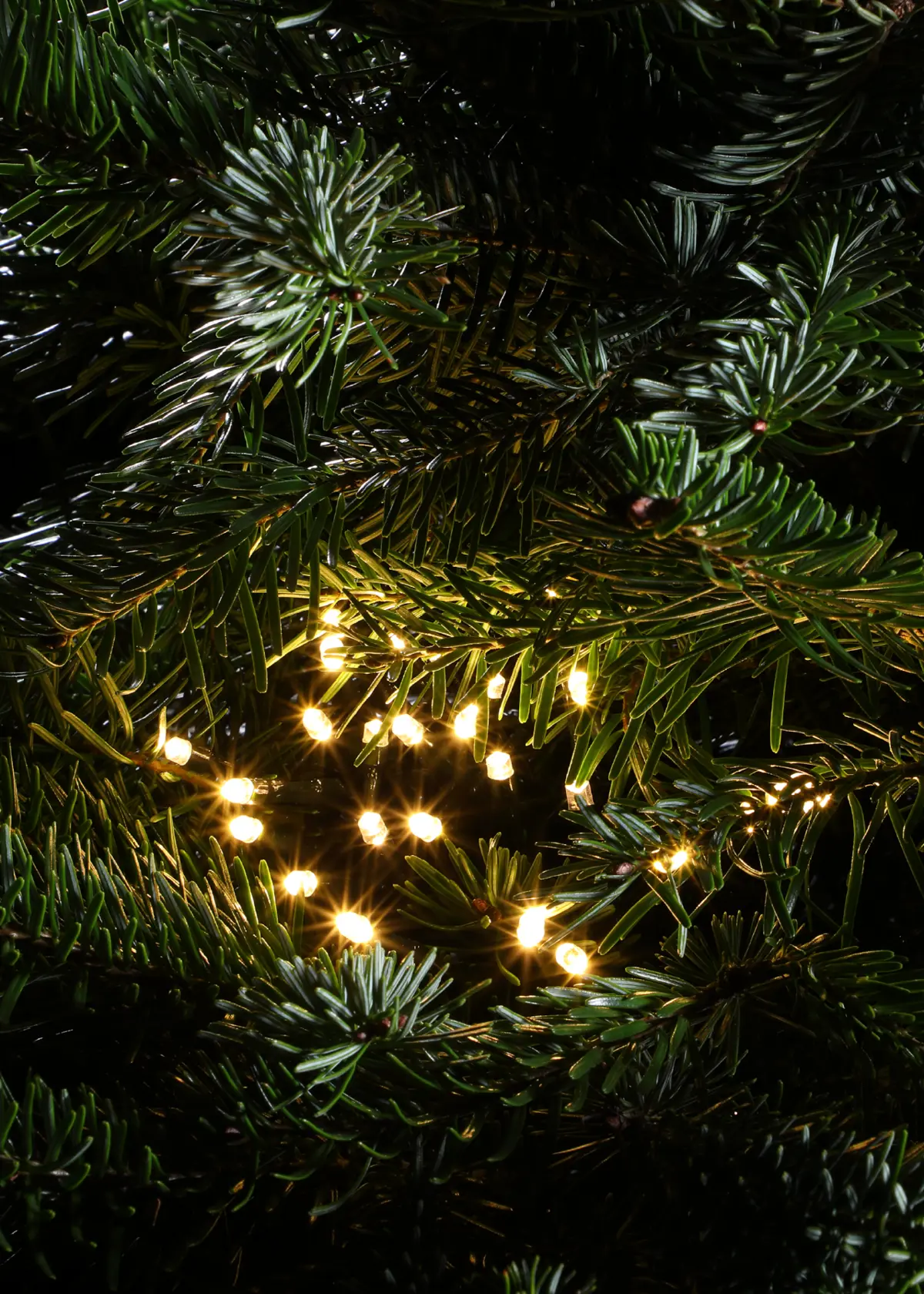 A photo of 240 Warm White Multifunction String Lights