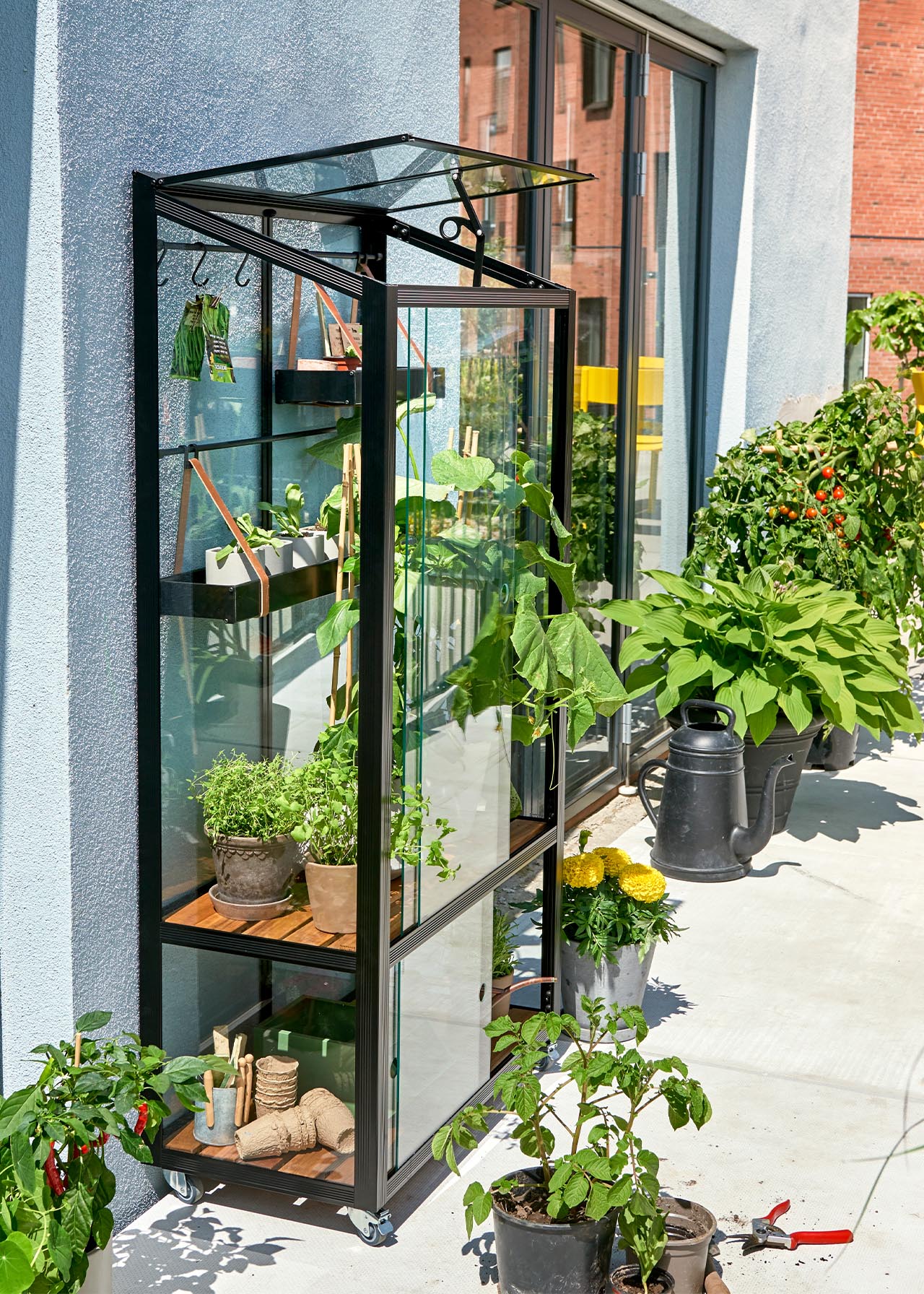 City Greenhouse Dobbies Garden Centres