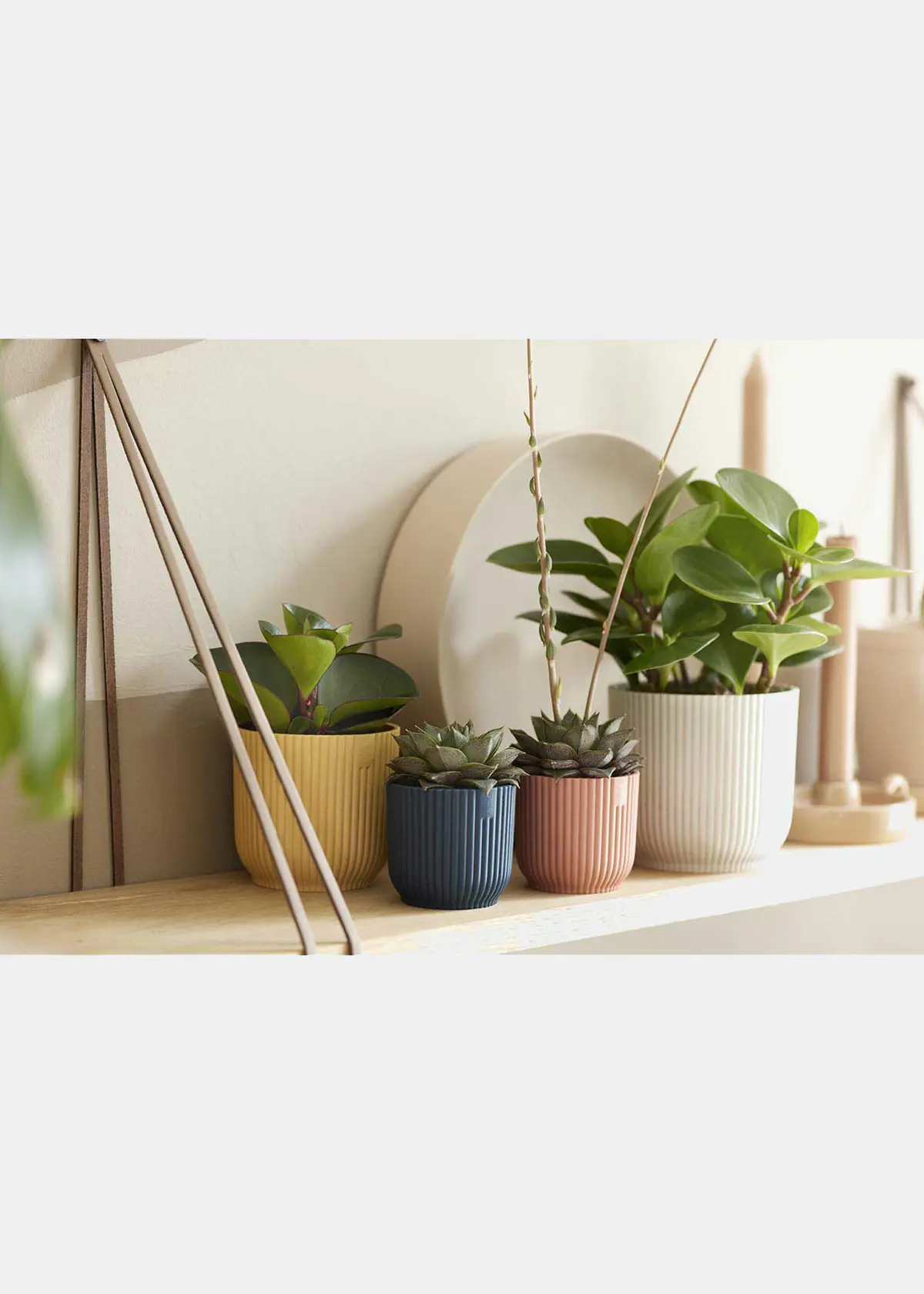 A photo of Elho Vibes Fold Mini Pot 9cm Pink