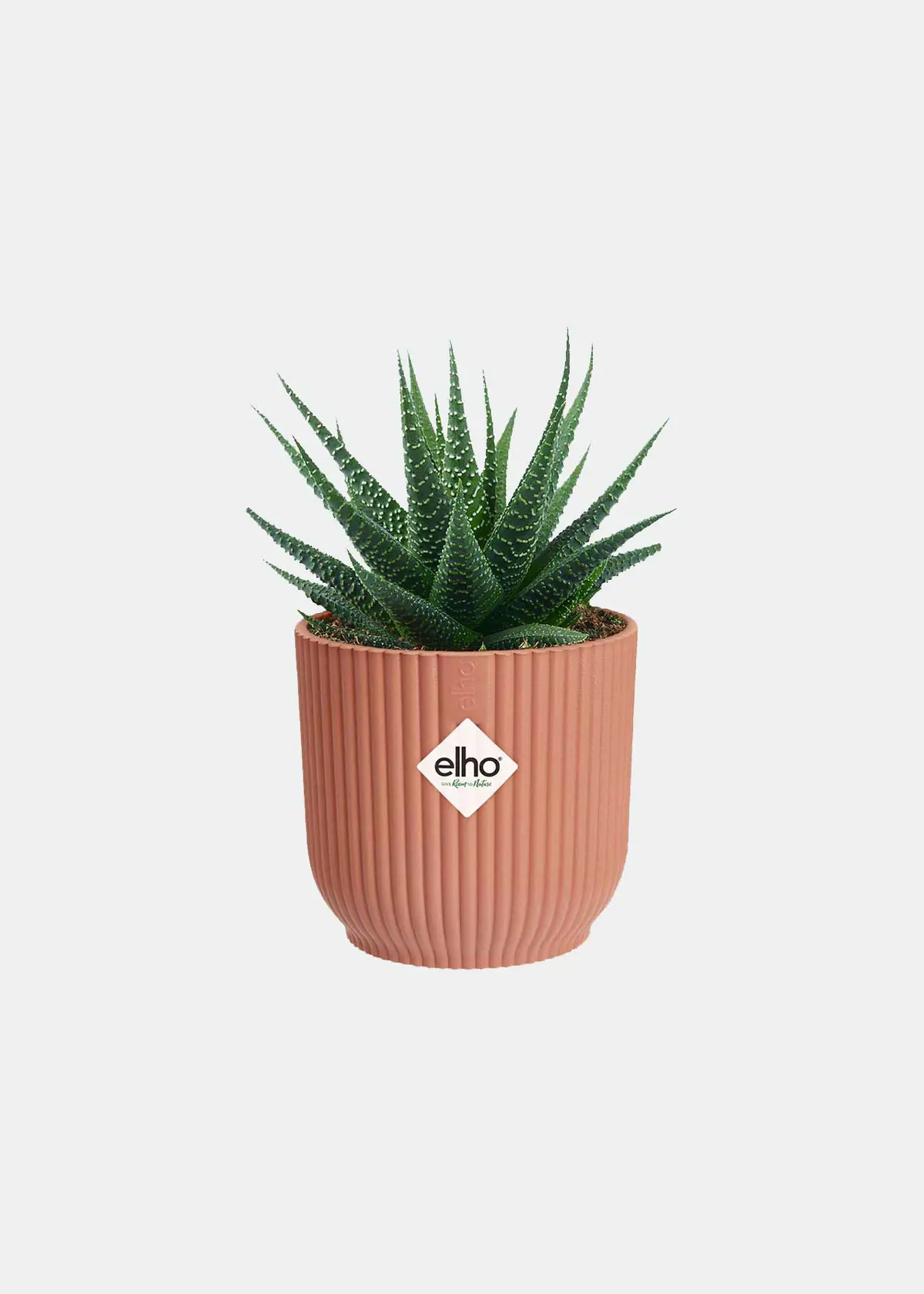 A photo of Elho Vibes Fold Mini Pot 9cm Pink