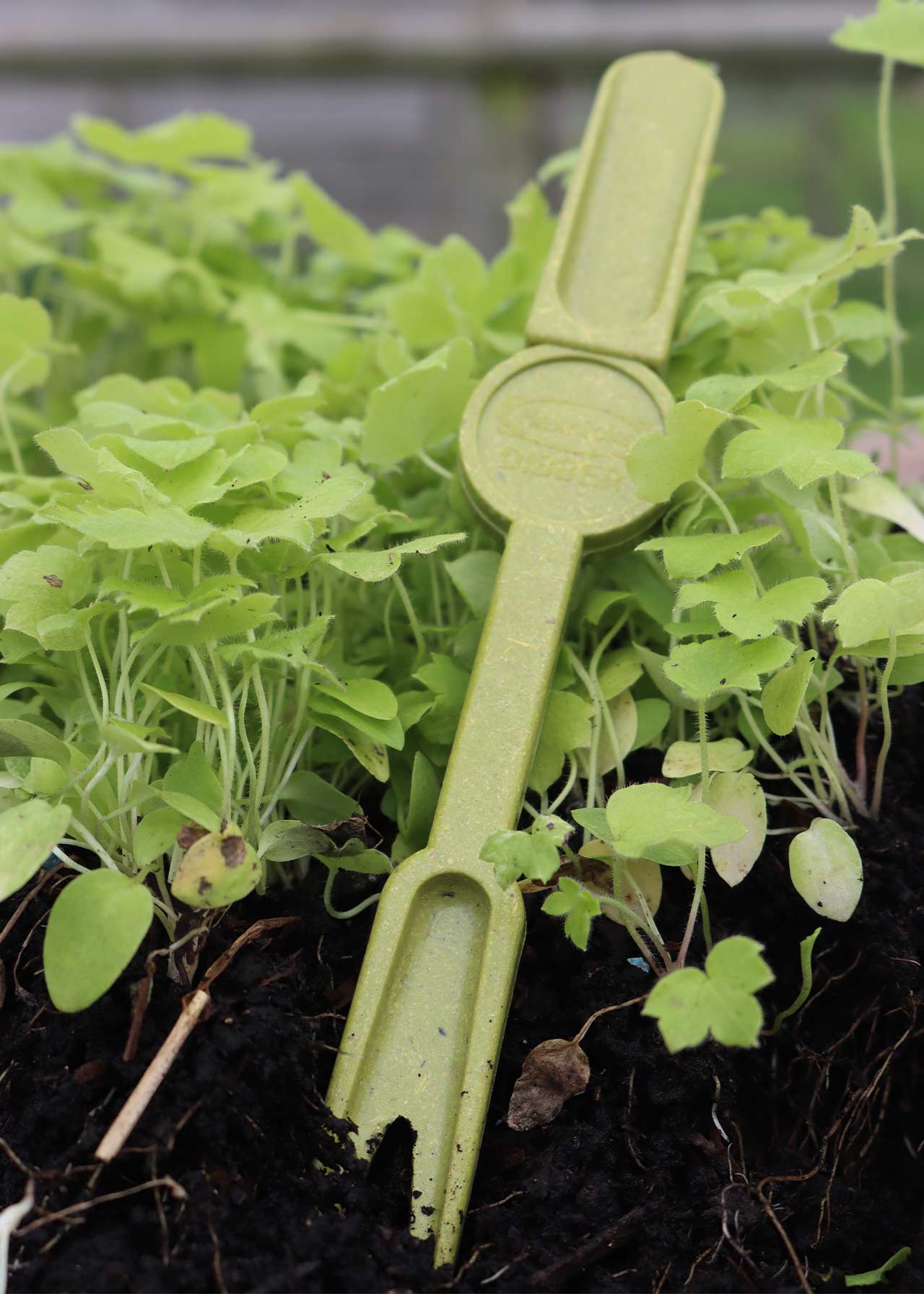 Bamboo Widger & Dibber