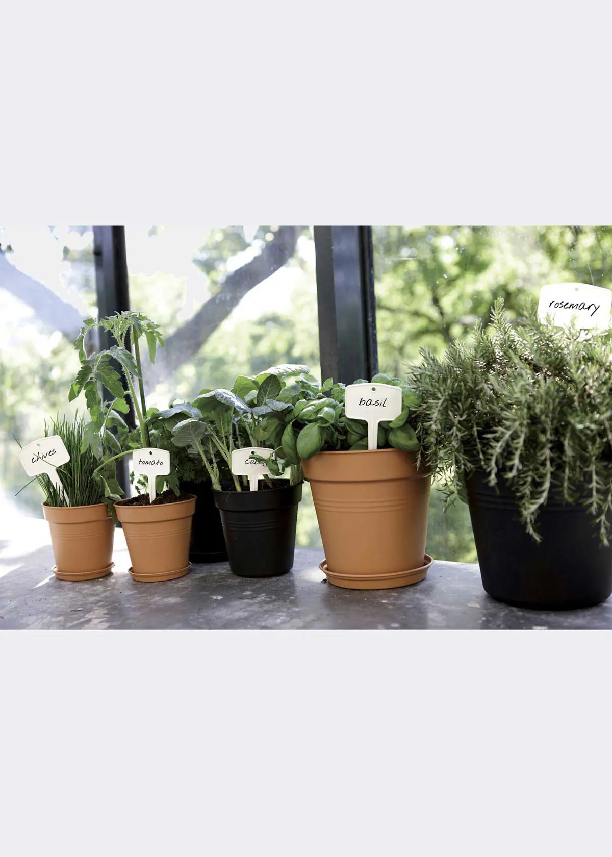Elho Green Basics Growpot 19cm Terra