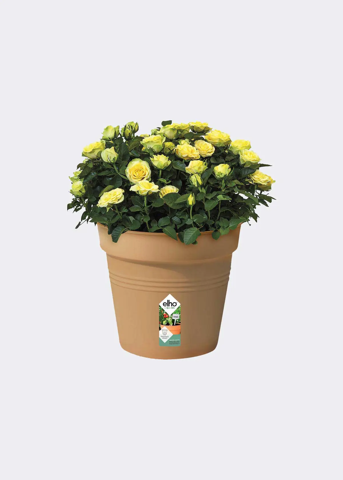 A photo of Elho Green Basics Growpot 40cm Terra