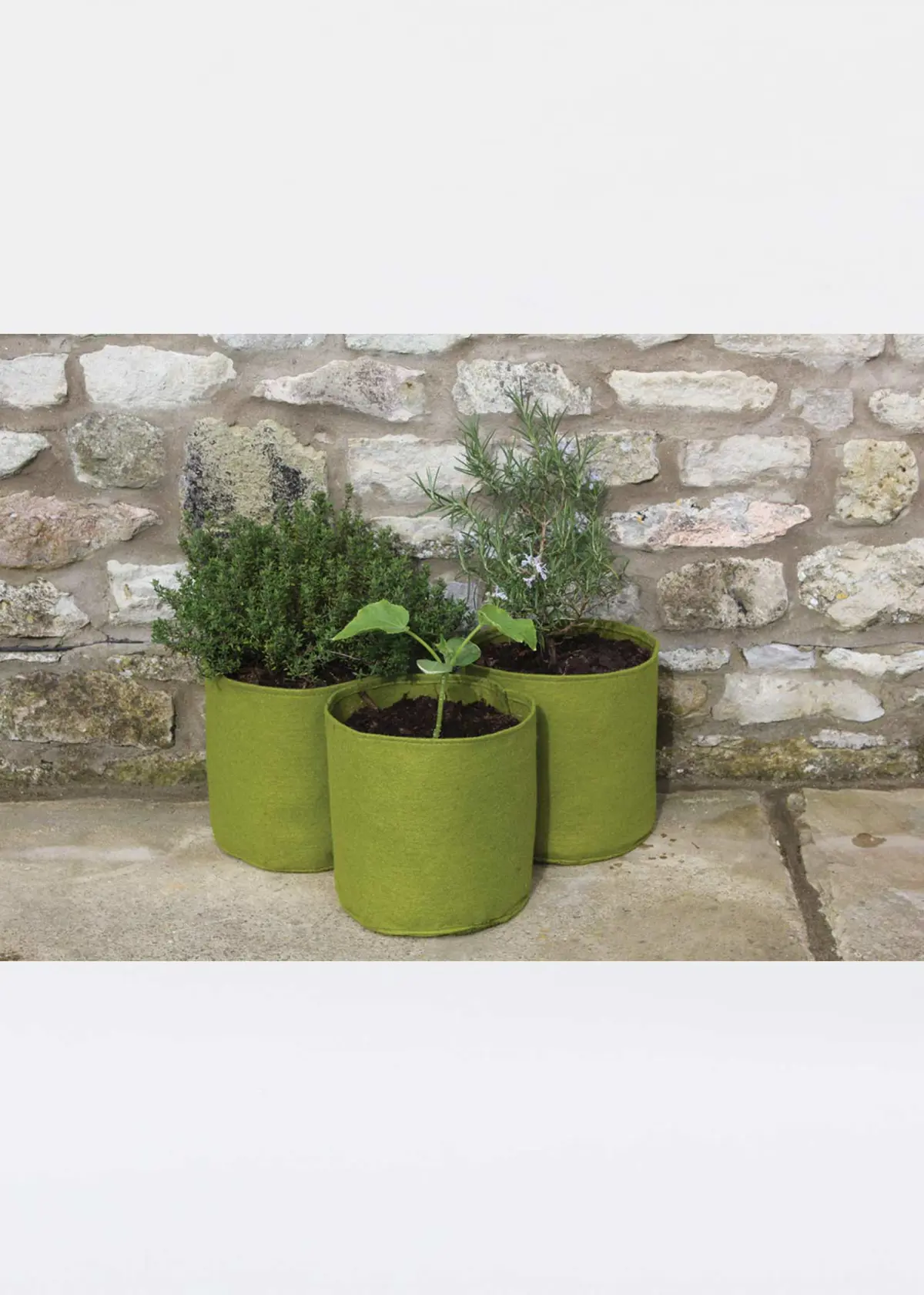 A photo of Pack of 3 Vigoroot Pots 5L
