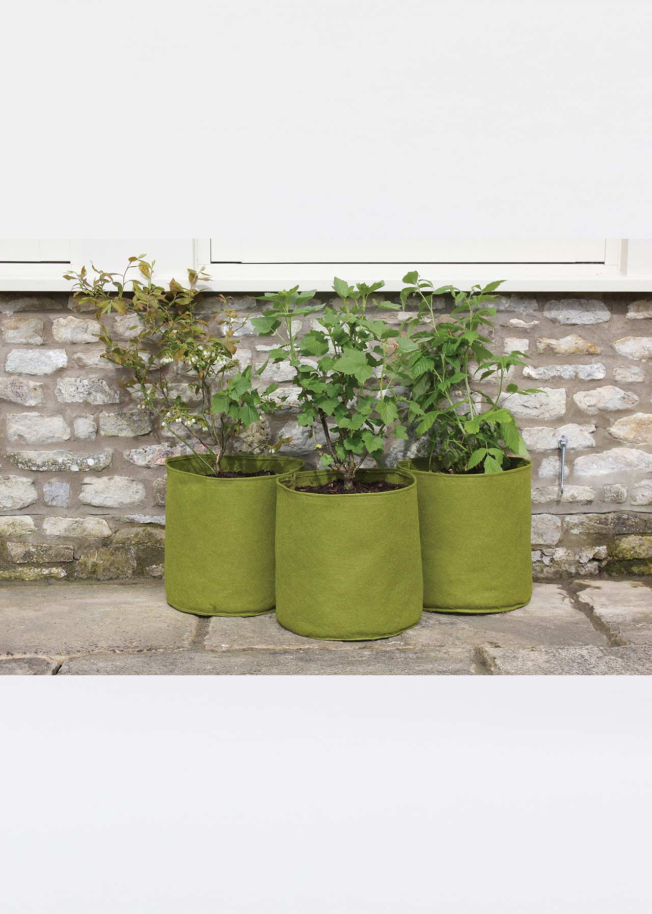 Pack of 3 Vigoroot Pots 20L