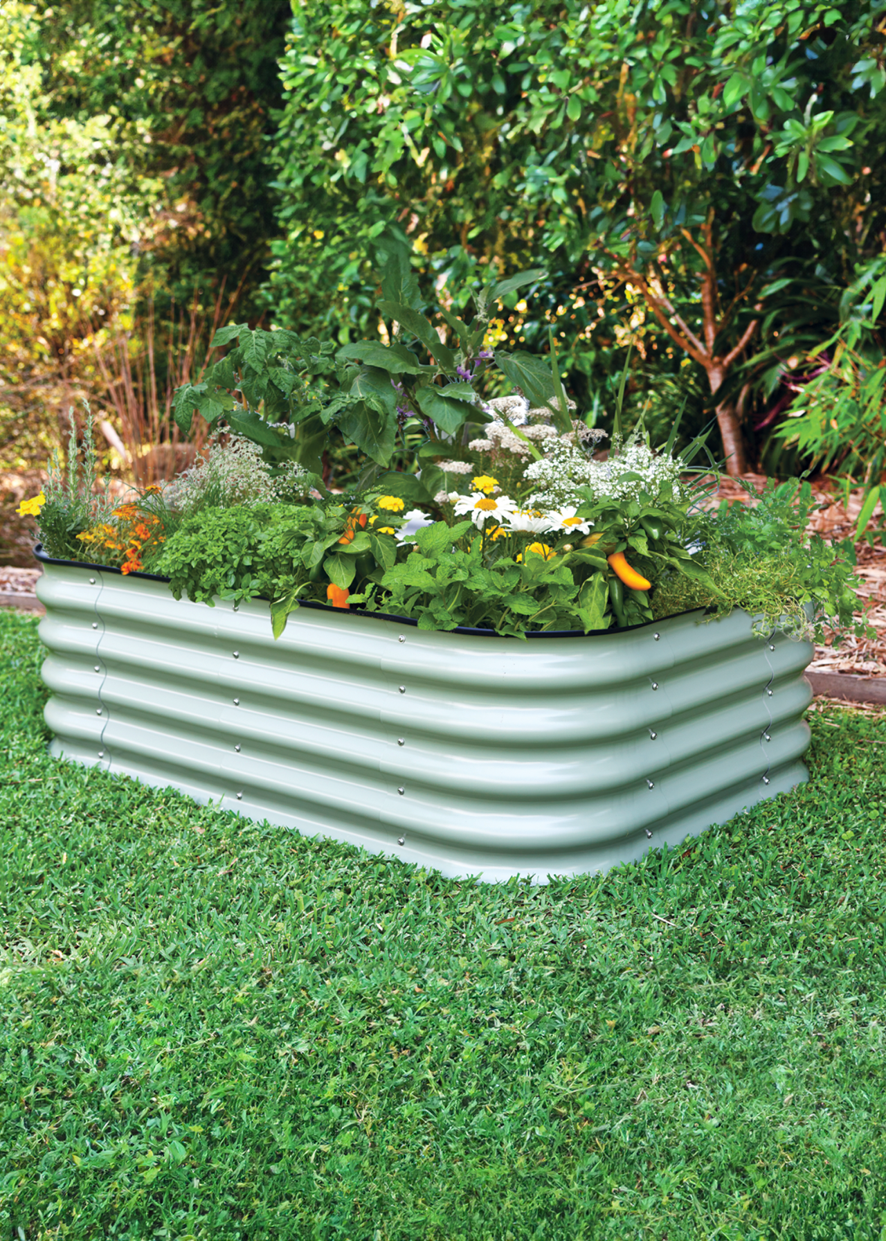Small 6 in 1 Short Raised Garden Bed Mist Green | Dobbies Garden