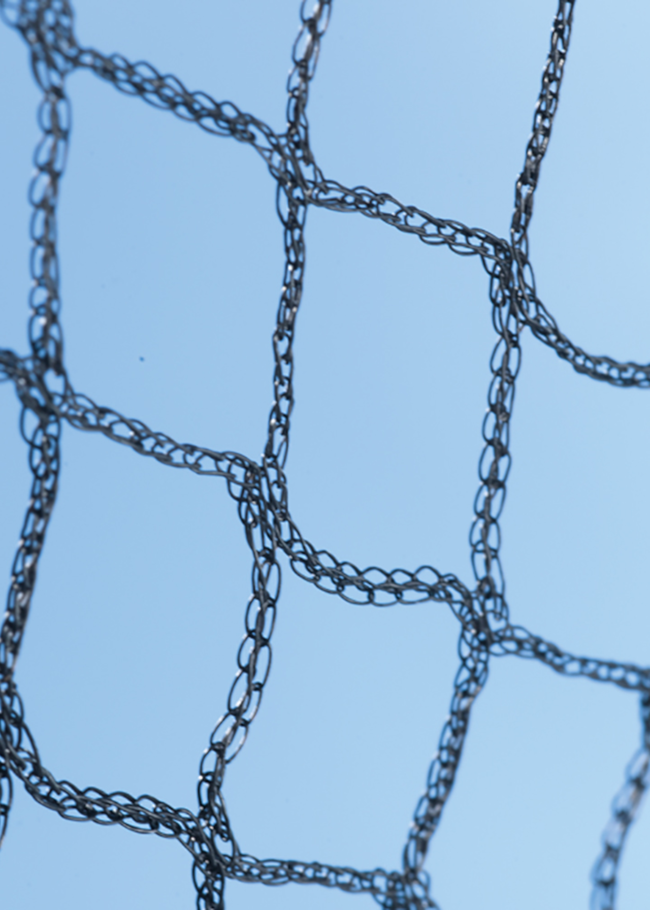 Superior Fruit Cage Net 2m x 5m