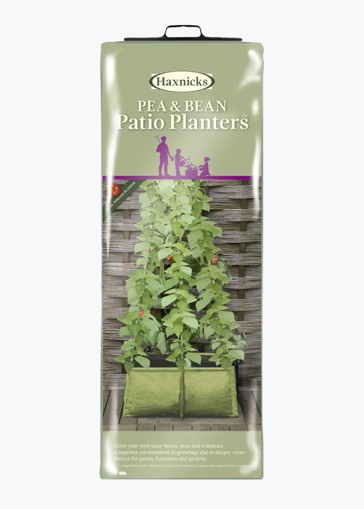 A photo of Pea & Bean Patio Planter