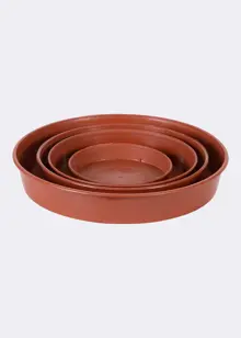 Grow Saucer 11.5cm