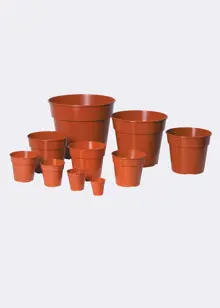Grow Pot 12.7cm