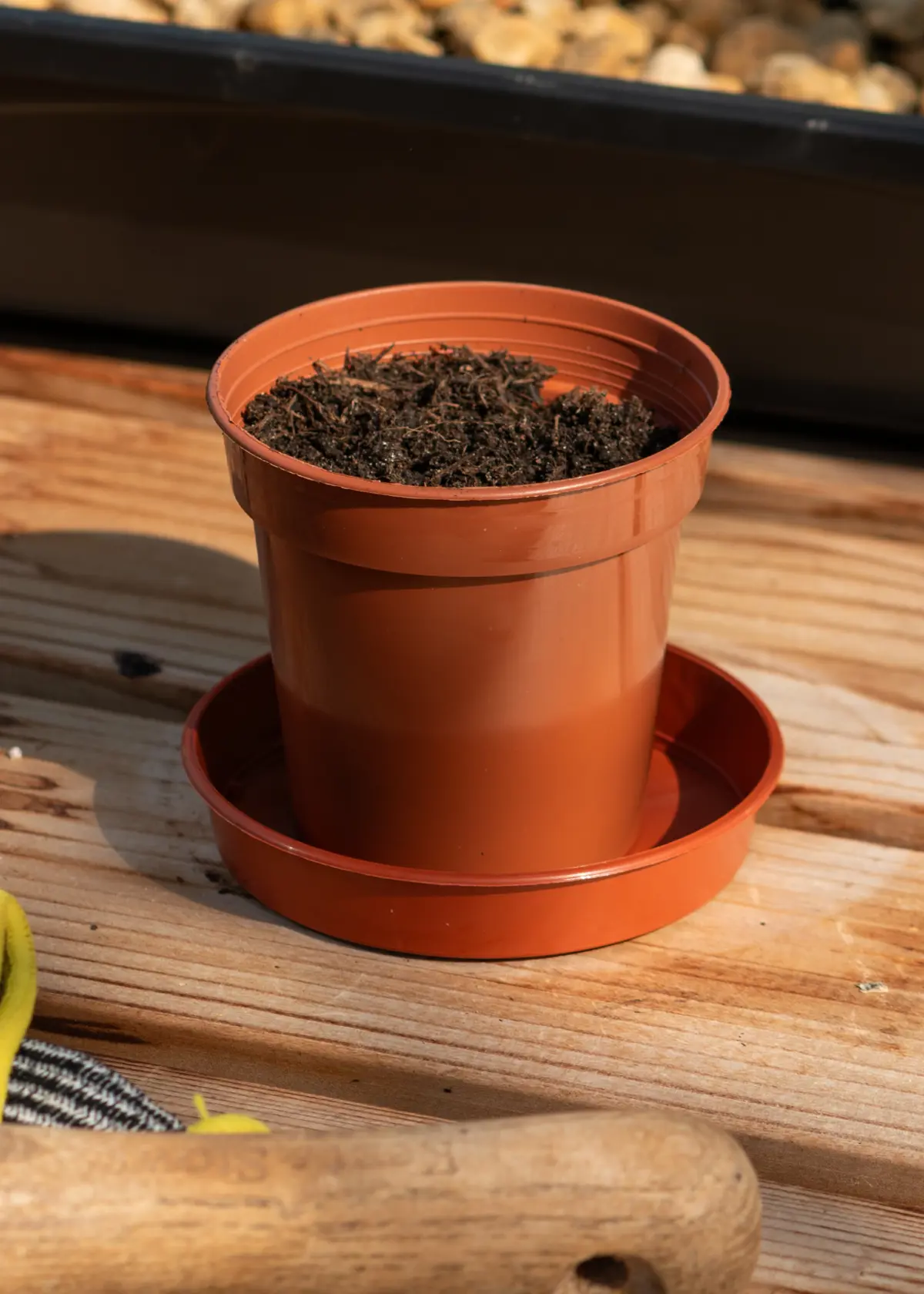A photo of Grow Pot 7.6cm