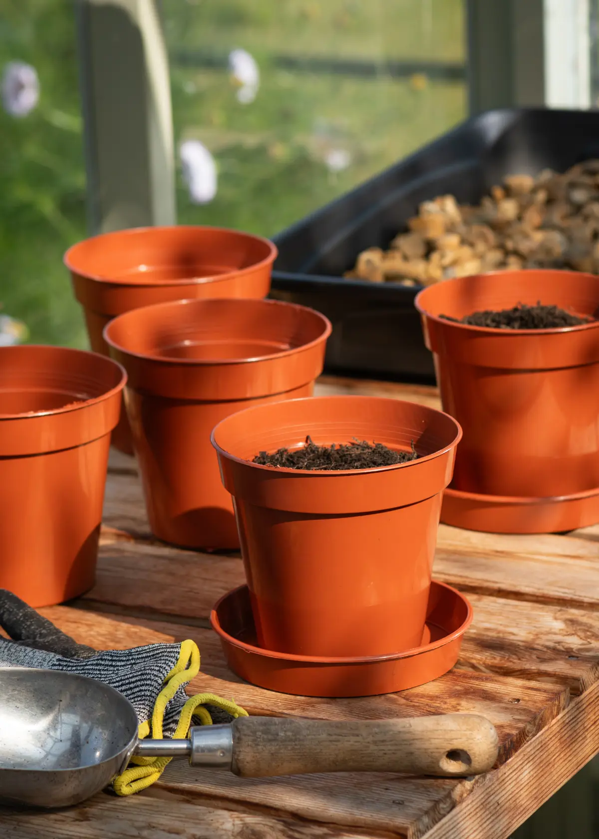 A photo of Pack of 5 Grow Pots 12.7cm