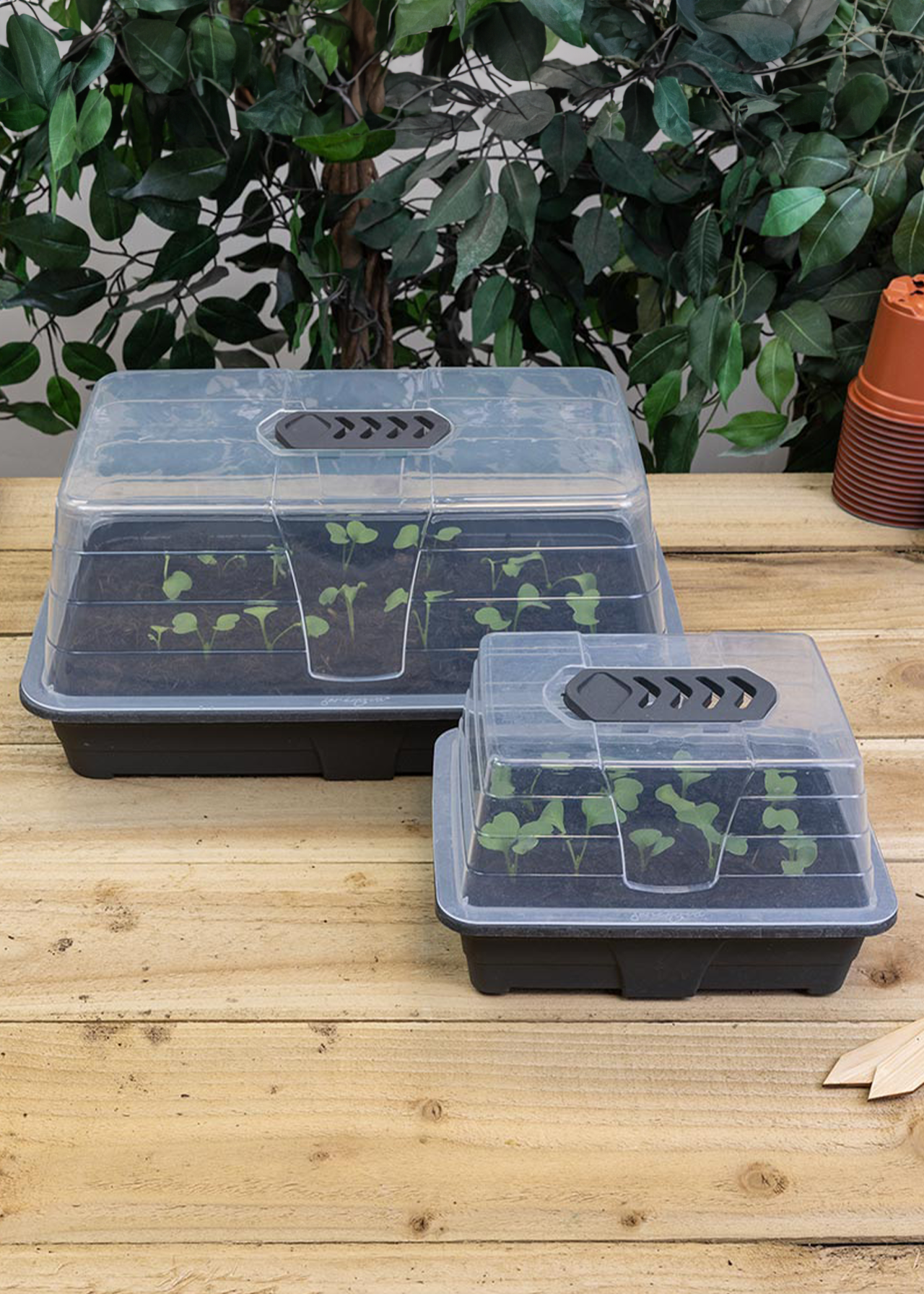 Dobbies Small Premium Propagator