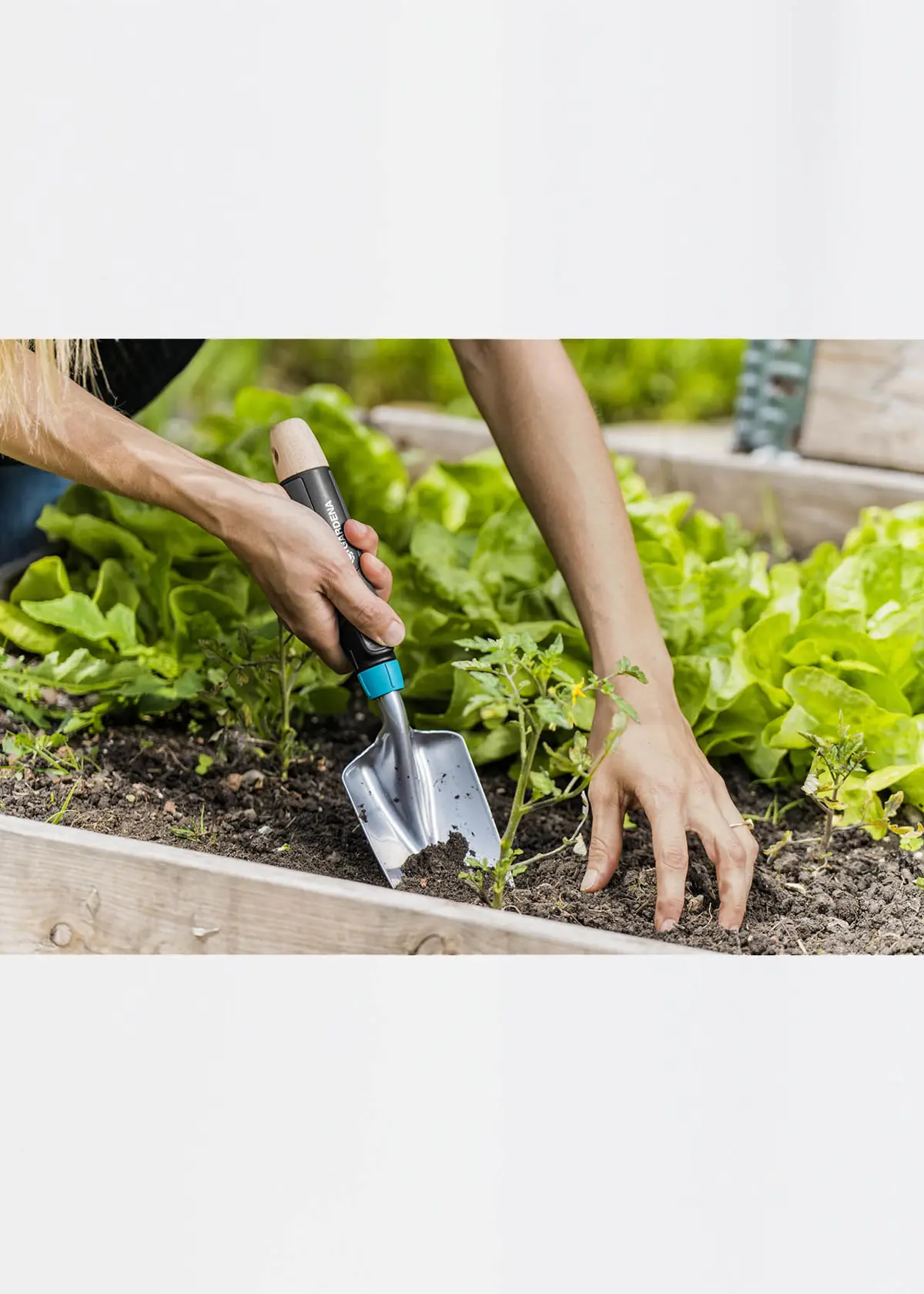 A photo of Ecoline Trowel
