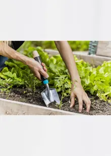 Ecoline Trowel