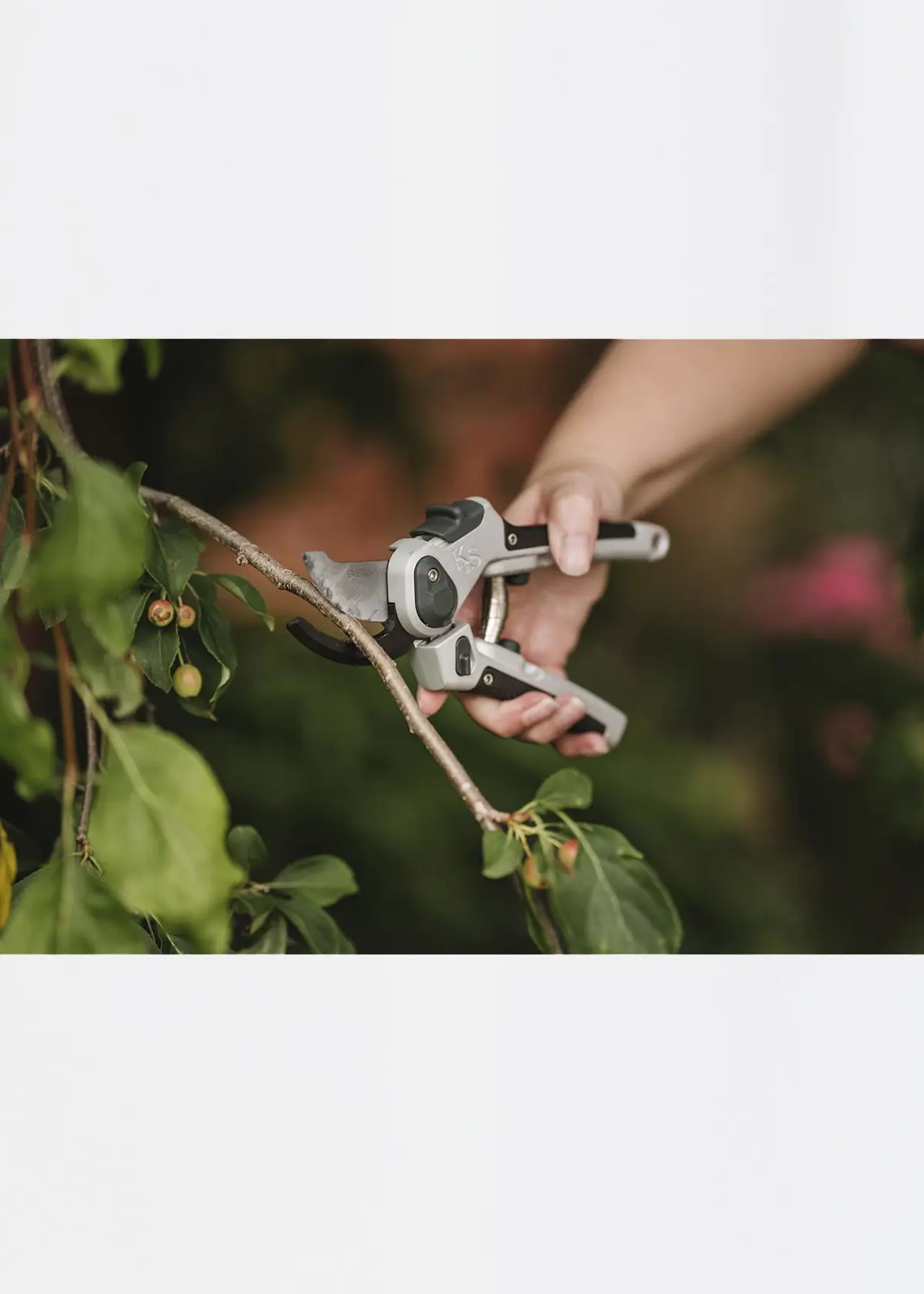 A photo of Kent & Stowe Eversharp All Purpose Secateurs