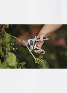 Kent & Stowe Eversharp All Purpose Secateurs