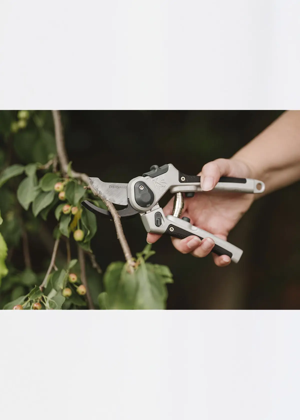 A photo of Kent & Stowe Eversharp All Purpose Secateurs