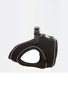 Doodlebone Originals Snappy Harness Coal 2