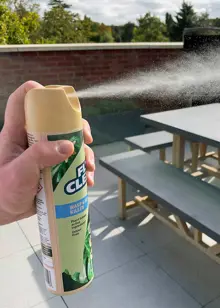 Clear Wasp & Fly Killer 400ml