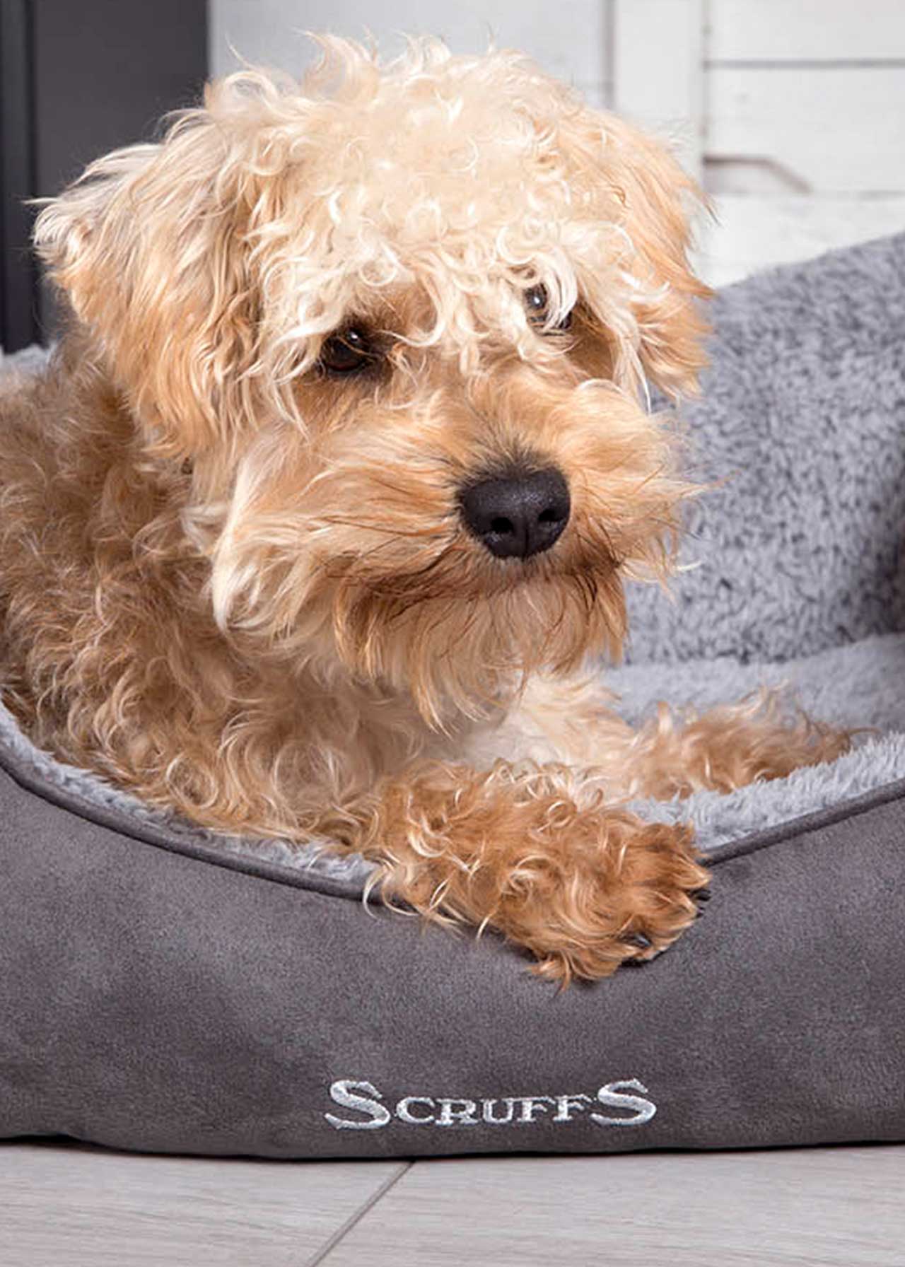 Scruffs Cosy Box Bed Grey