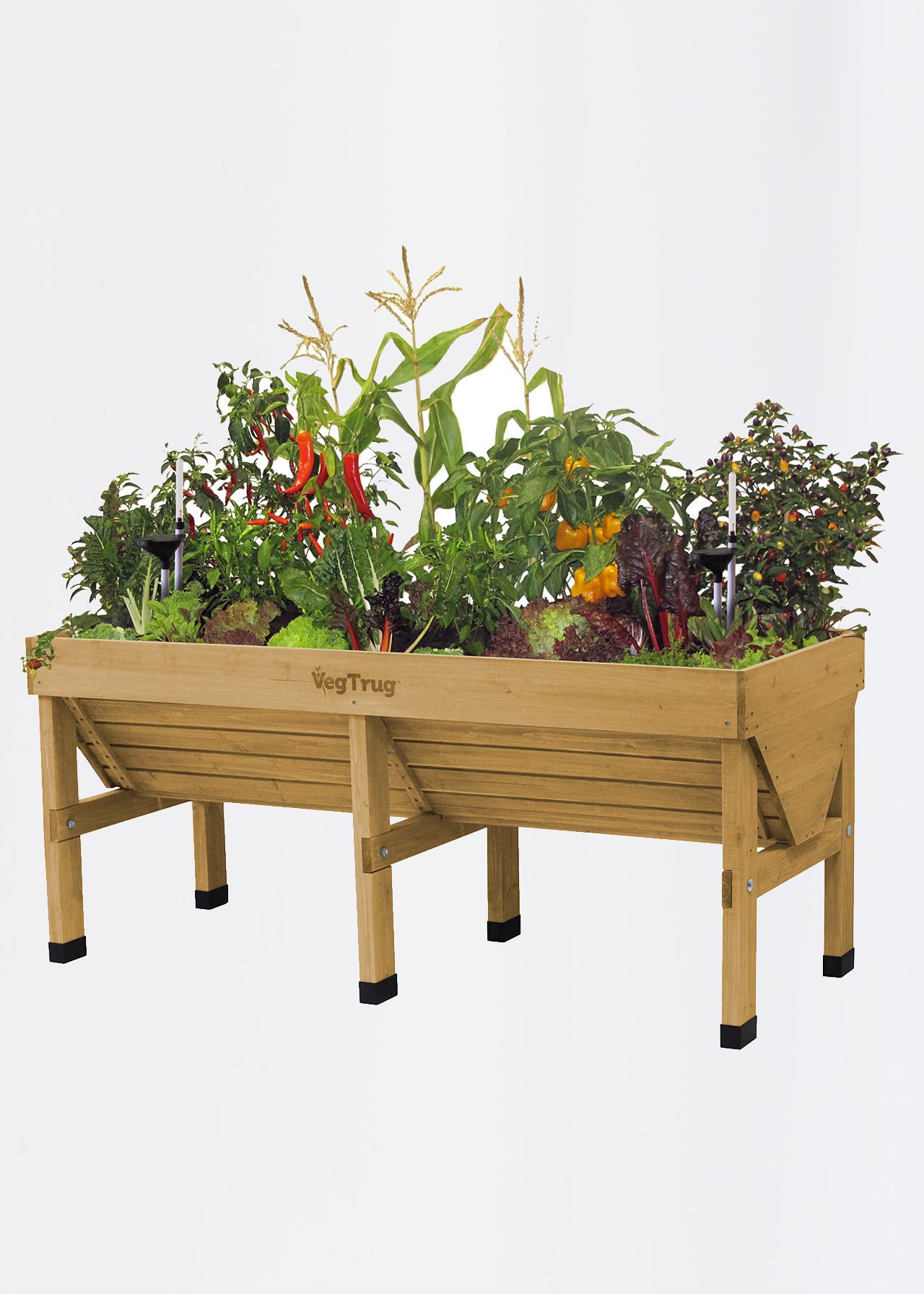 VegTrug Classic Self Watering Kit Medium 1.8m Dobbies Garden Centres