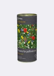Dobbies Flowers for Pollinators Seed Shaker Tube