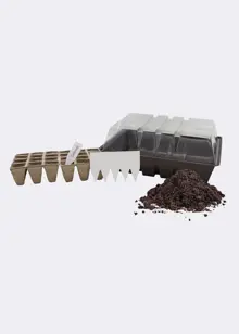 Dobbies Butterfly Garden Starter Kit